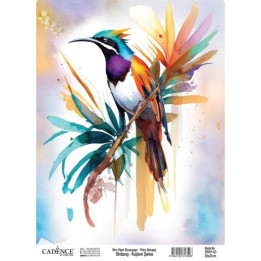 copy of 